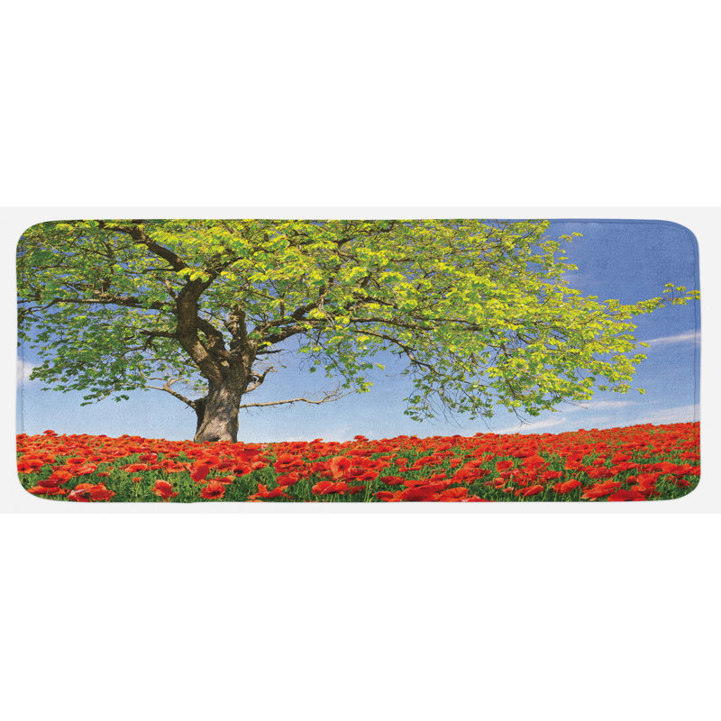 Tapis de cuisine dépilé