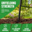 Fence 60 cm H x 33 cm W Iron Fence Panels Fencing with 30 Panel(s) Included