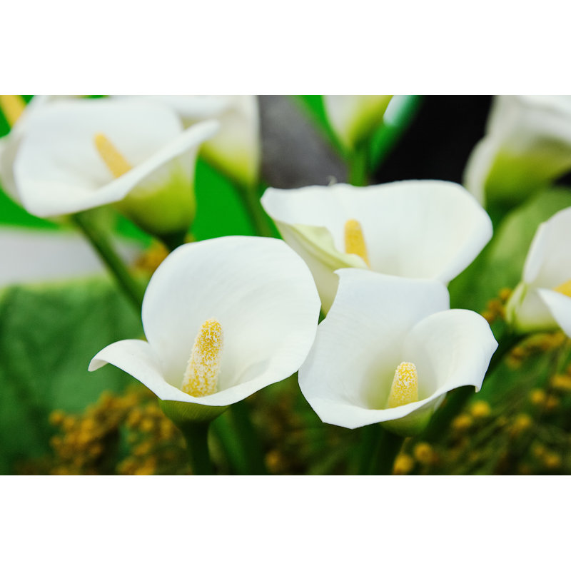 Calla Flower Bouquet by Yevhen Harkusha - Wrapped Canvas Print, 30.48cm H x 45.72cm W