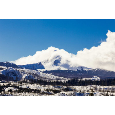 " Mount Washington Wilderness "