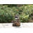 Raccoon Sitting