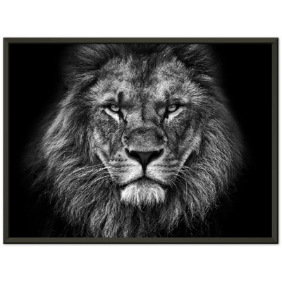 Modern Landscape & Nature Wall Decor on Canvas
