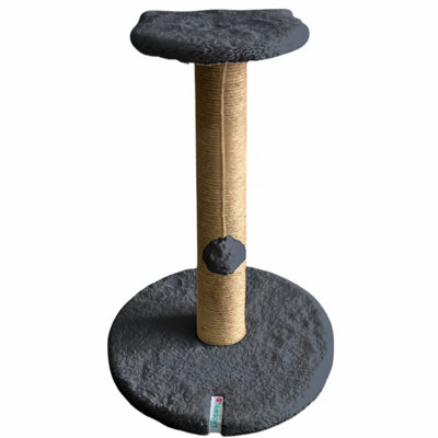 Cat Scratching Board