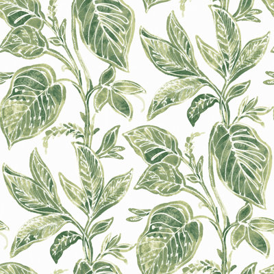 Rouleau de papier peint L 33 pi x l 20,5 po Mangrove Botanical