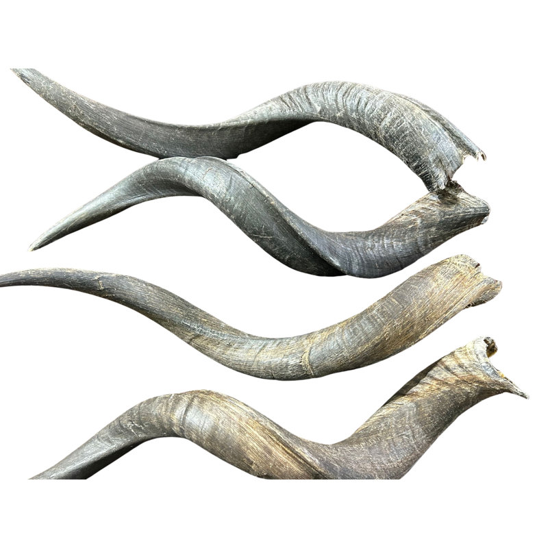 Joenell Natural Kudu Horn S