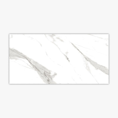 12" x 24" Porcelain Stone Look Wall & Floor Tile