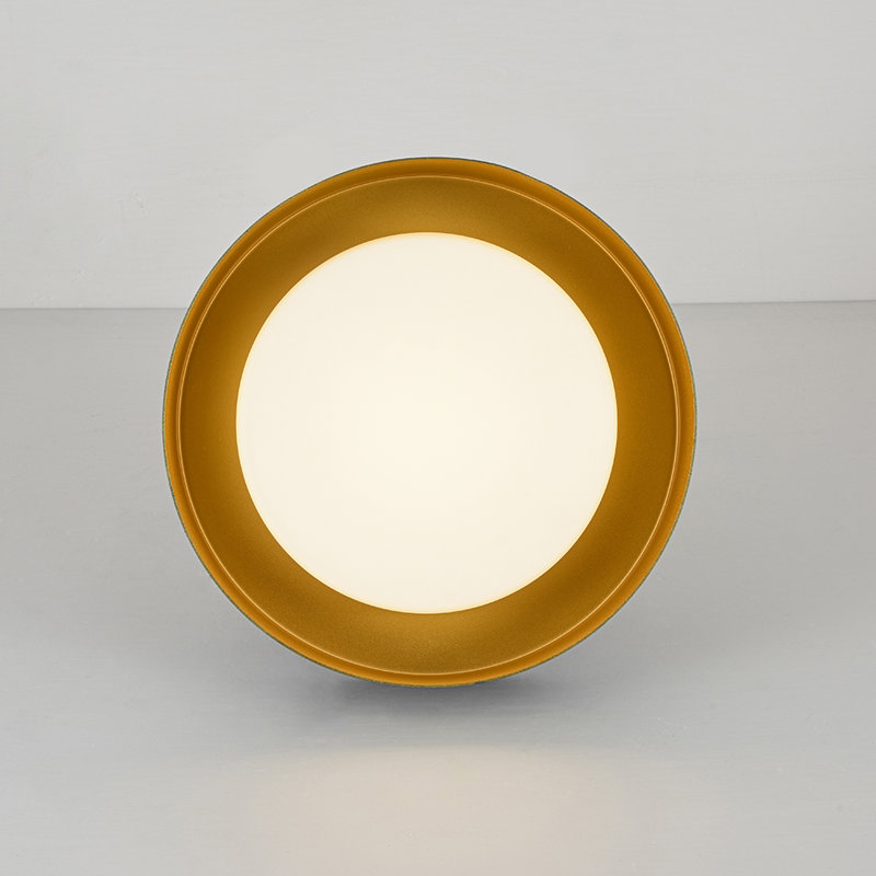 Matte Black and Brass Drum LED Flush Mount with Frosted Glass Shade 