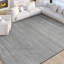 Area Rug in Grey-588706426