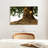 Harnek Bodhi Tree-108733124