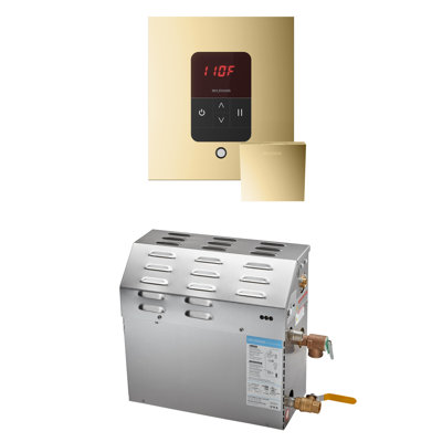 MS 10 kW (10000 W) Steam Shower Generator Package with square iTempo Control