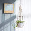 Sollis Hanging Planter