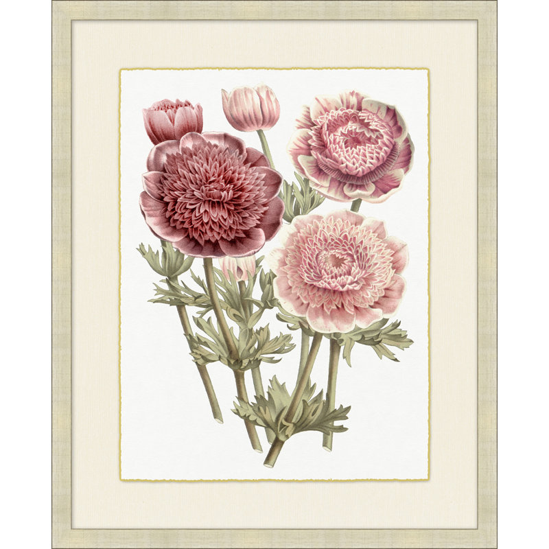Blush Florals 4 Painting
