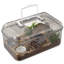 Terrarium gris transparent pour insectes et reptiles