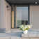 Malak Wall Light