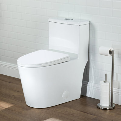 17" Comfort Height Standard  Toilet, Dual-Flush Modern Elongated One-Piece Toilet with Glazed Surface (Seat lncluded)
