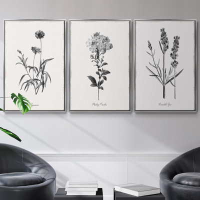 " Simply Imperial " 3 - Pieces