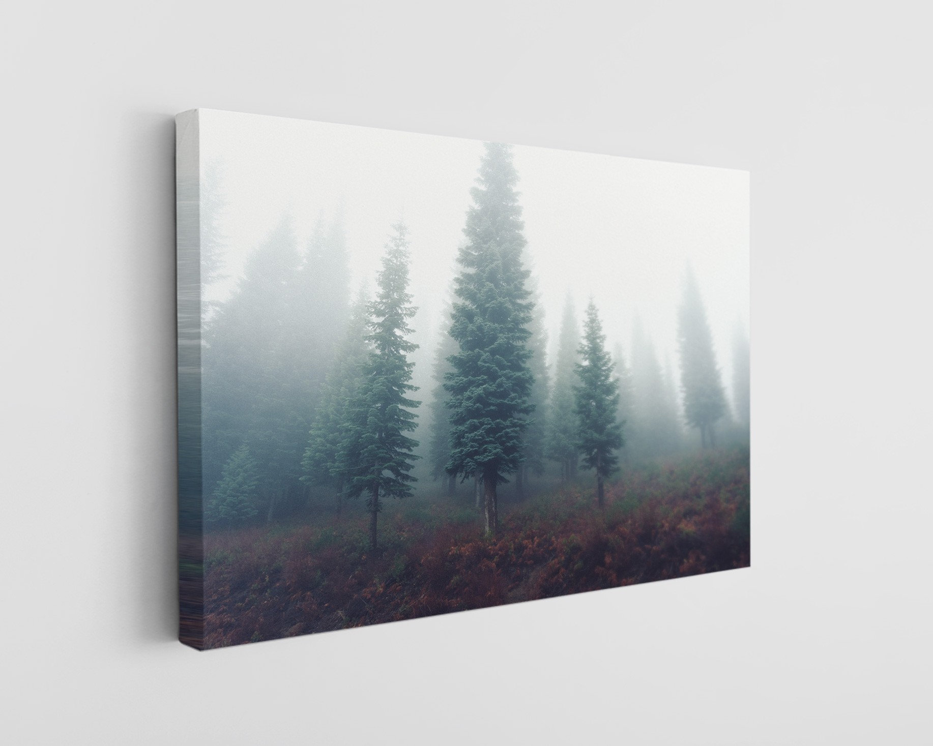 Millwood Pines Misty Forest with Pine Trees Canvas Print | Wayfair