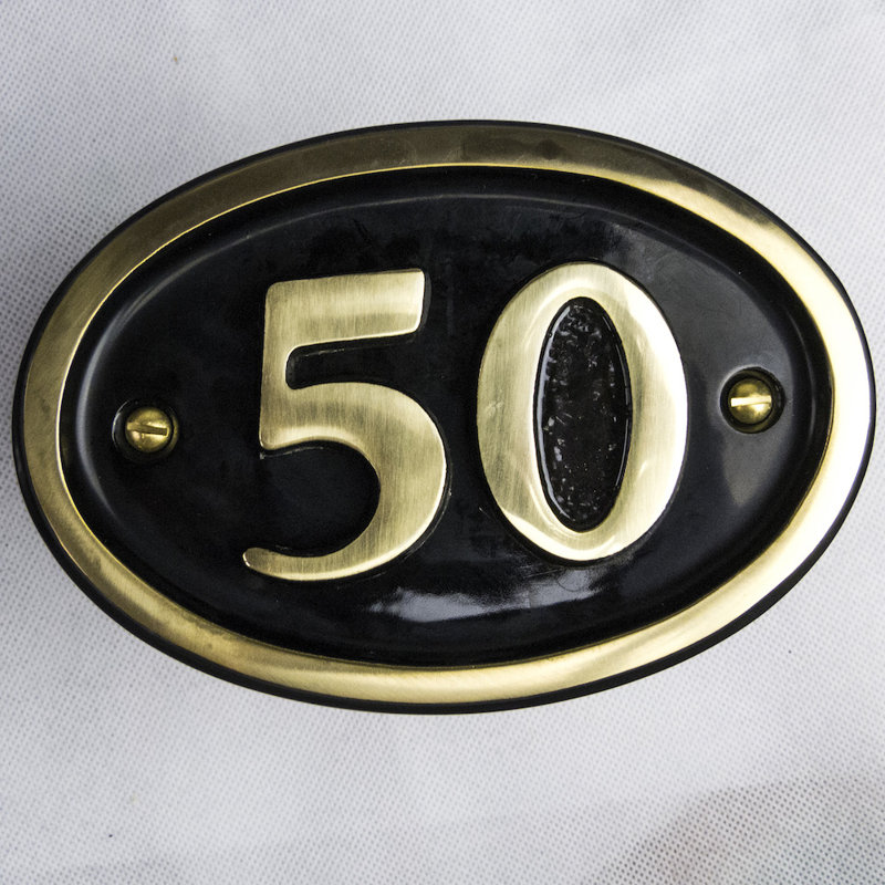 Tyrinia 10cm H Reflective Aluminum House Number, 50