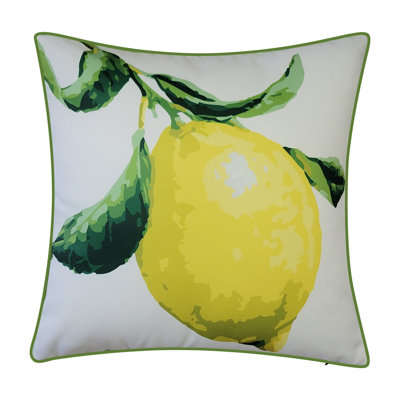 No Decorative Addition Outdoor Reversible Throw Pillow