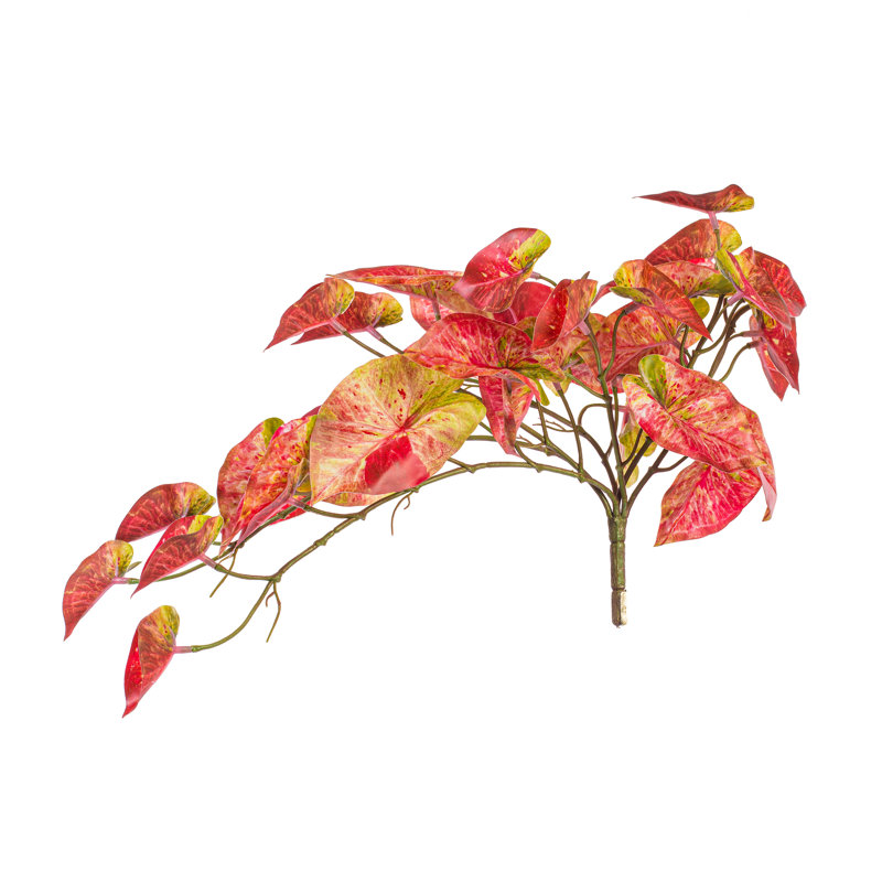 Feuilles de vignes suspendues 15 po Primrue