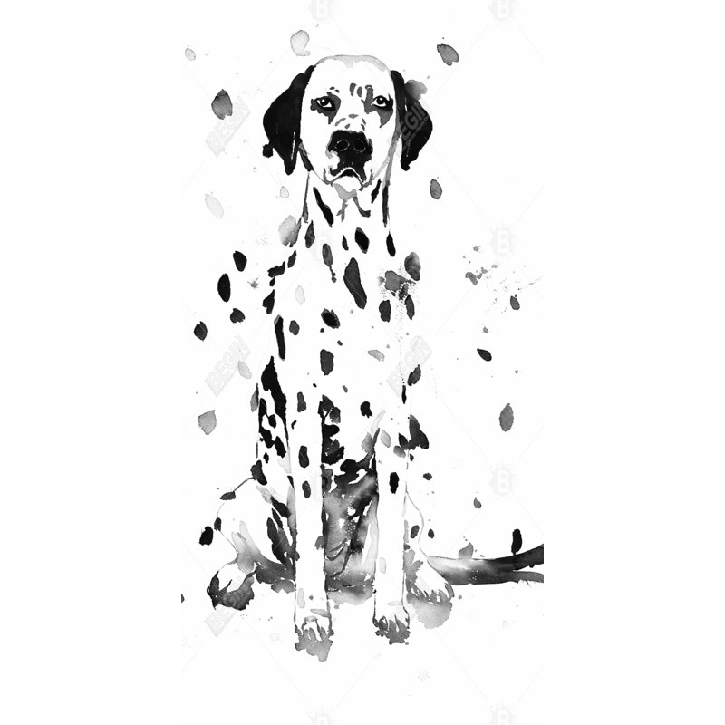Dalmatian dog - 15.75"x31.50" Desk mat