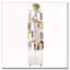 Bibliothèque rotative-1705872886