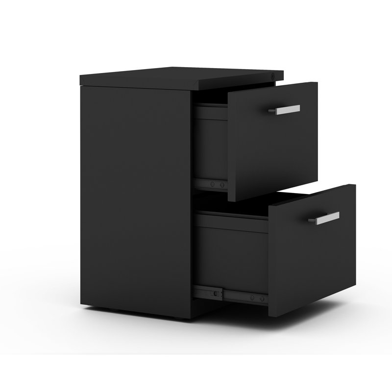 My-Hite Metal Vertical Filing Cabinet with 2 Drawers, 4 Casters, Interlock System, Black
