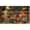 Carrelage mural décoratif en céramique 30 po x 18 po 6 po x 6 po