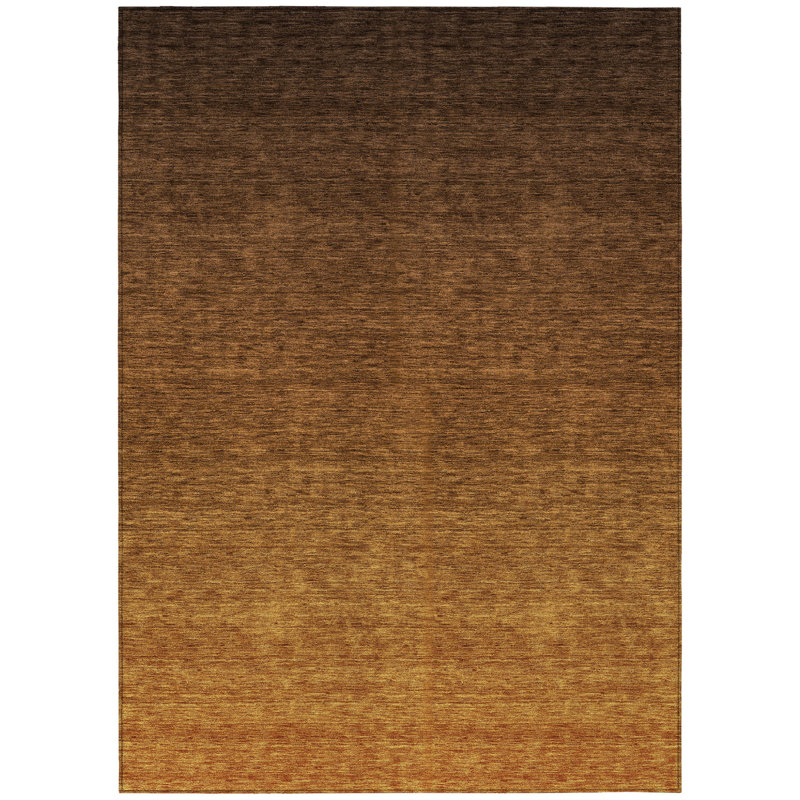 Tapis ombré lavable intérieur / extérieur 5 pi x 8 pi brun