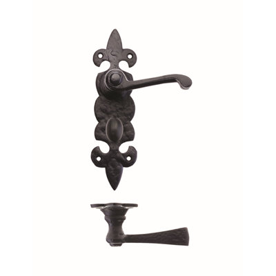 Bathroom Door Handle