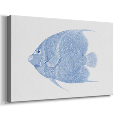 Poisson tropical bleu et blanc - galerie Cavas