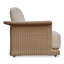 Meredith Outdoor Lounge Chair-1546474605-1546474606