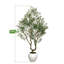Arbre d'olivier artificiel multi-branches 7 pi-1191845265