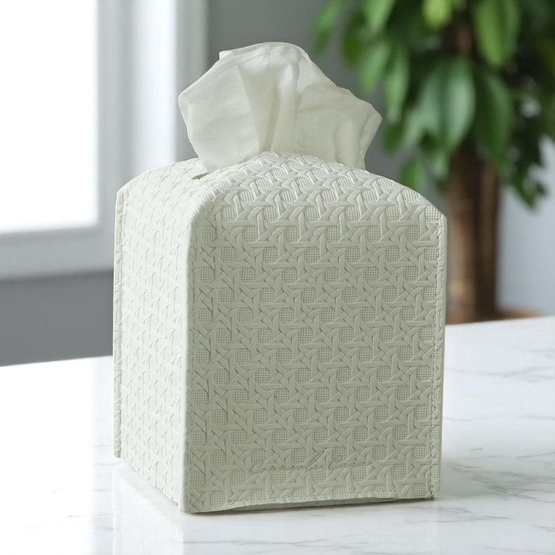 Housse pour boîte à mouchoirs en cuir de style rotin, Beige