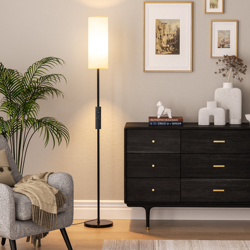 Kingsteignt 64'' Stepless Dimmable Floor Lamp with Remote Control