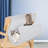 Flannel Cat Hammock Bed-1924103503