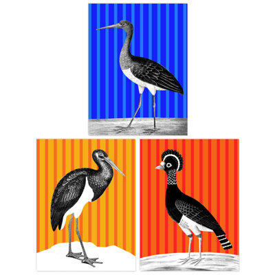 Bird on Striped Blue Yellow Orange Colourful Bright Modern 3 Piece Wall Art