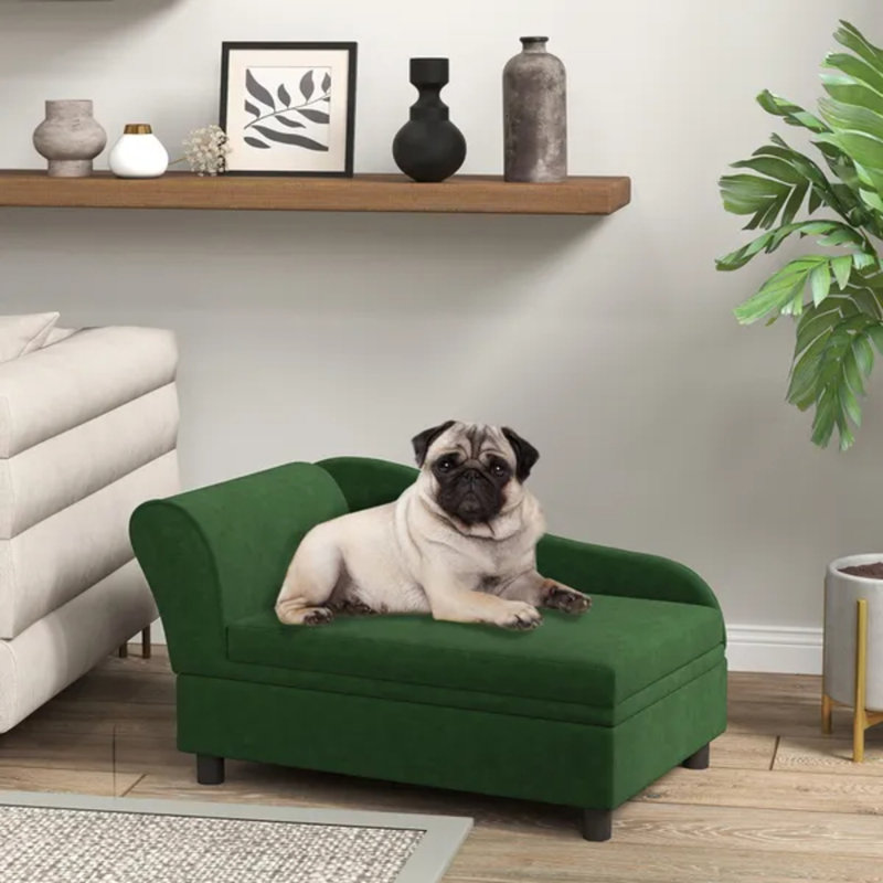 Canapé pour animaux avec rangement, canapé pour chats et petits chiens, vert