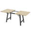Andrek Extendable Metal Base Dining Table