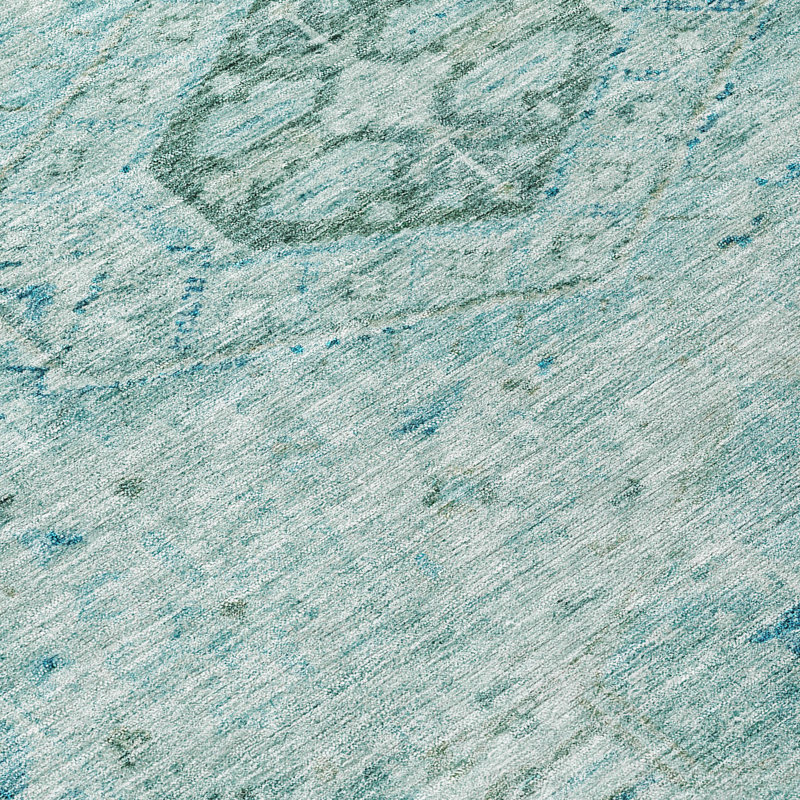 Machine Washable Indoor/Outdoor Chantille ACN2357 Traditional Rug, Rectangle 5' x 7'6"