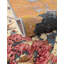 Tapis Keazia-1087412086
