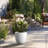 Larney Handmade Pot Planter-988070524-988070519