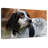 Crowle Spotted English Setter-111885960