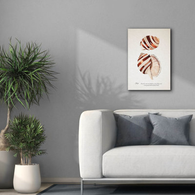  «Sienna Shell Collector 4» par Annie Warren, art mural sur toile, 18 po x 26 po