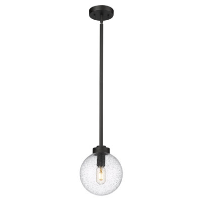 Luminaire suspendu d'extérieur à 1 ampoule Ayres