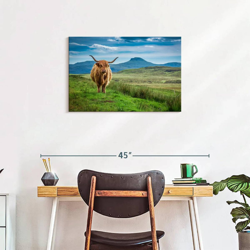 Brampt Skye Highland Cow, H 20 po x l 30 po