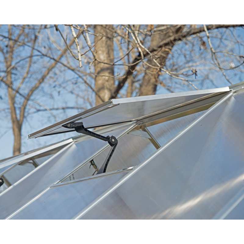 Essence 8' x 12' Silver Polycarbonate and Aluminum Greenhouse