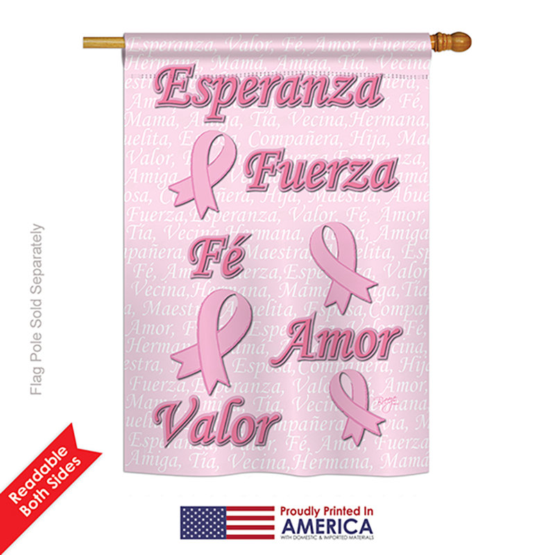 Polyester 40 x 28 po esperanza 2 côtés drapeau maison