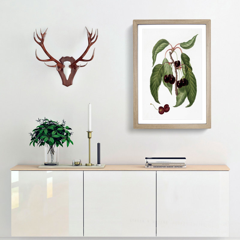 Hard-fleshed Cherry Tree by Giorgio Gallesio - Picture Frame Painting Print, 48cm H x 36cm W x 2cm D, Oak Framed