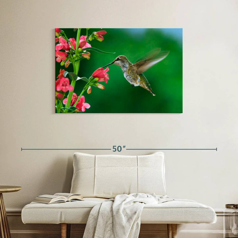 Brampt Spring Hummingbird, 26" H x 39" W